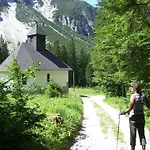 Buche By Interhome Feistritz im Rosental