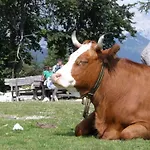 Buche By Interhome Apartman *