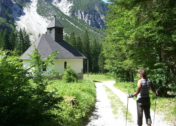 Buche By Interhome Feistritz im Rosental