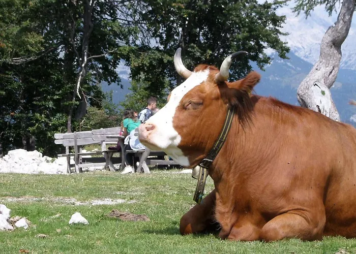 Buche By Interhome Apartament *